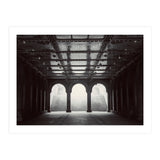 Levitation (Print Only) thumbnail