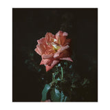 Romantic (Print Only) thumbnail