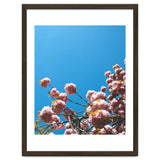 Pink Summer thumbnail