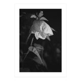 Camila | Black & White (Print Only) thumbnail