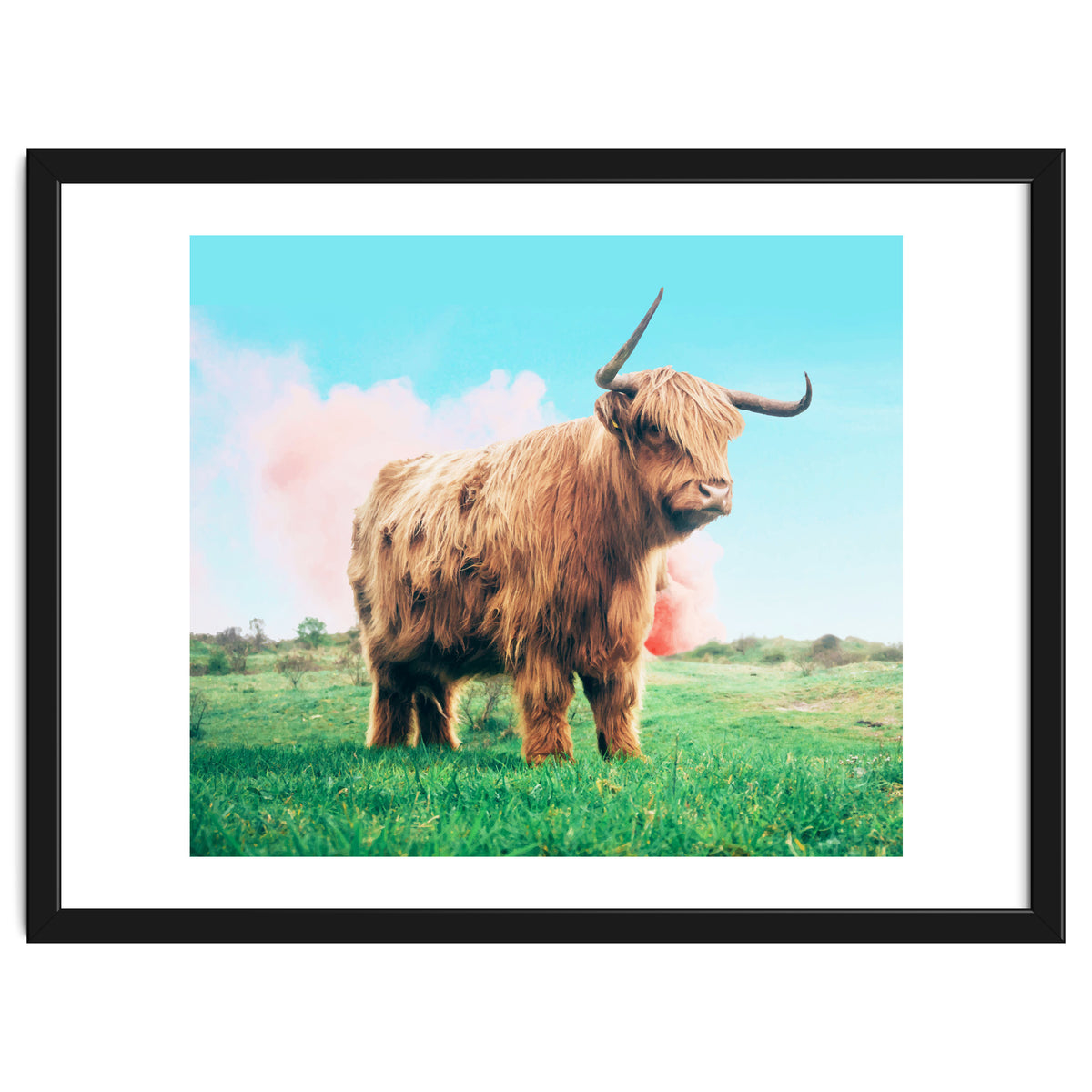 Highland Cow #society6 #decor #buyart