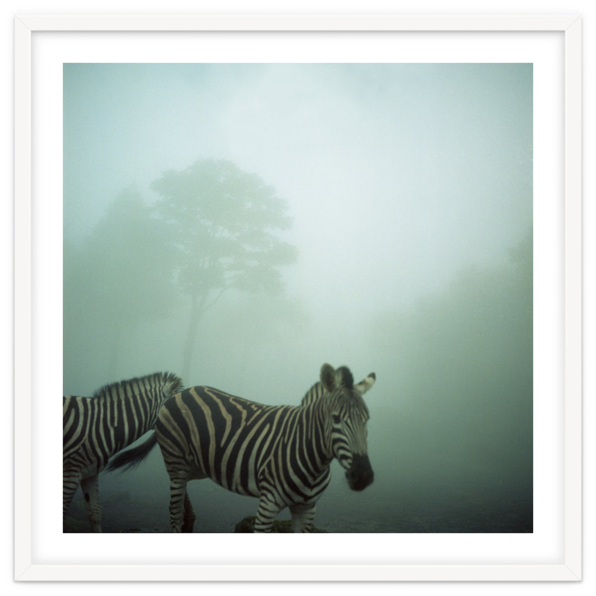 Silence of breath - 16