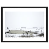 Blackbirds surrounding a frozen pond in winter thumbnail