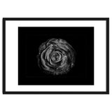 Backyard Flowers In Black And White No 72 with Border thumbnail