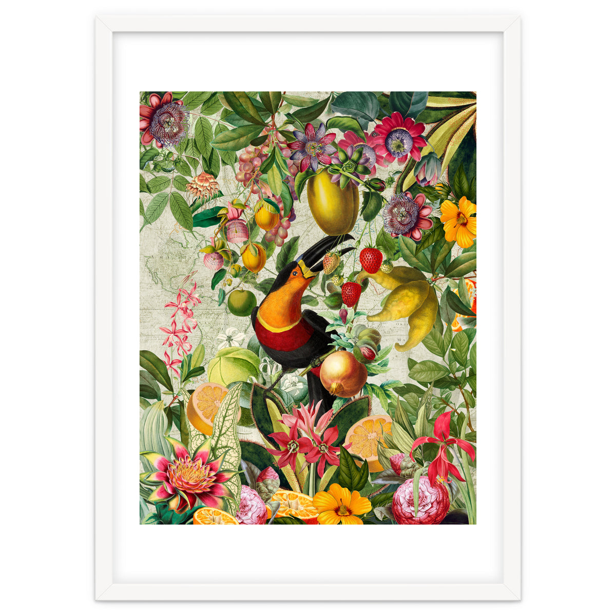 Toucan vintage jungle 1
