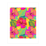 Hiba (Print Only) thumbnail