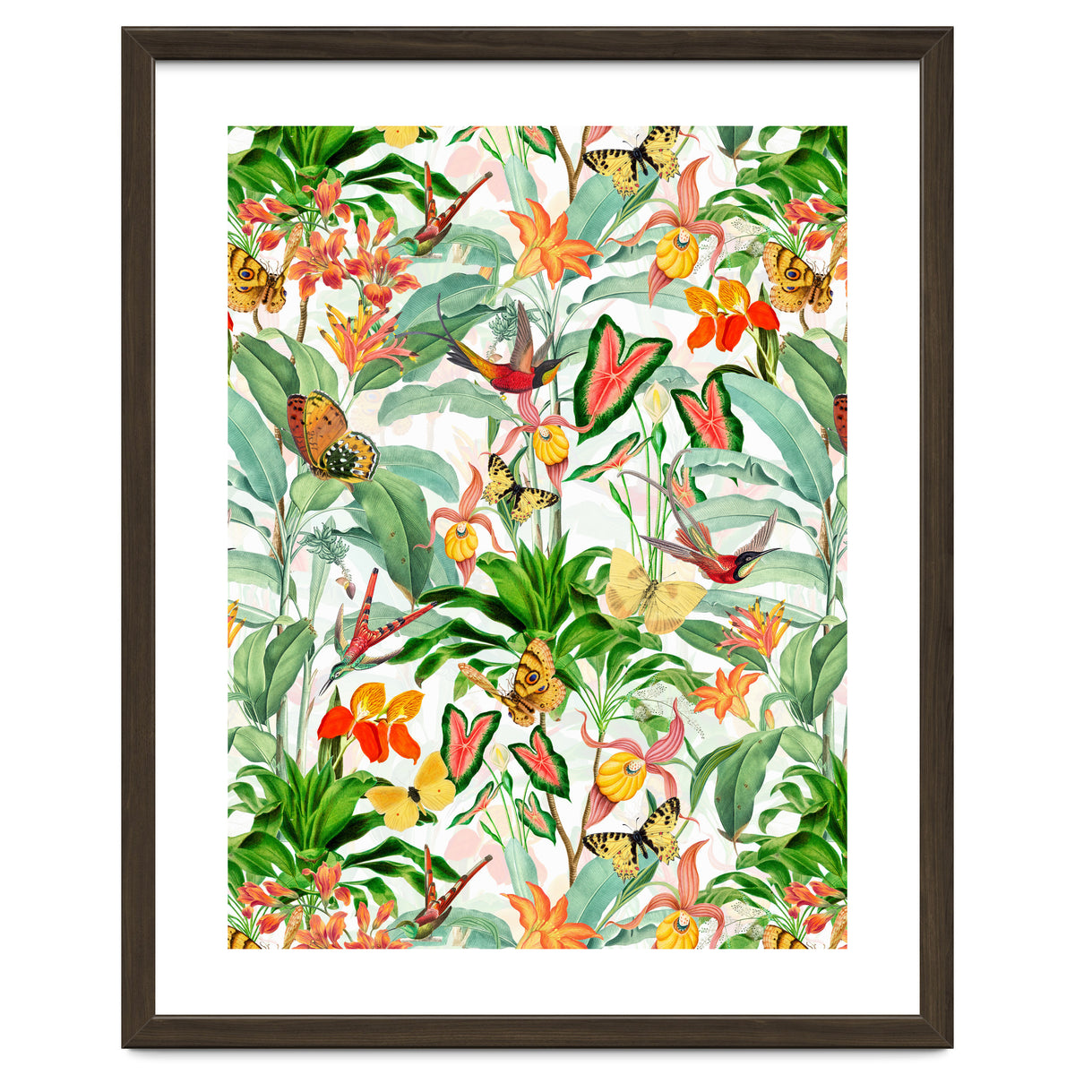 Birds And Butterflies In Tropical Jungle