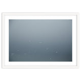 Flying Segulls in thet winter sky thumbnail
