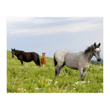Equine Family (Print Only) thumbnail
