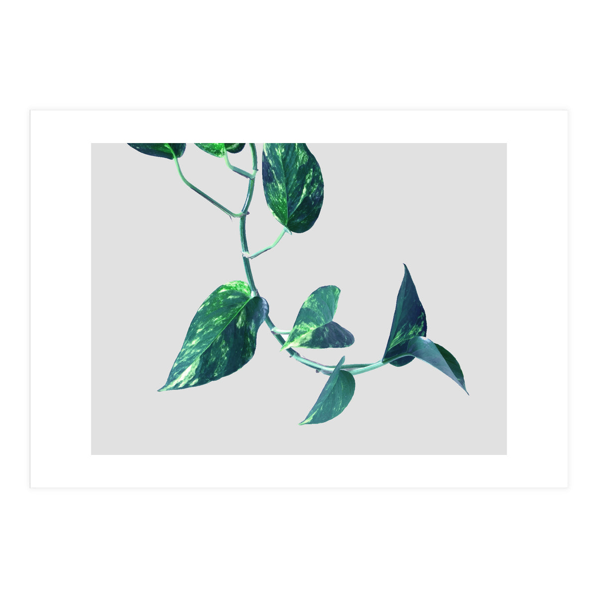 Projection & Emotion (Print Only)