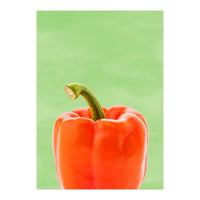 Red Bell Pepper, Fresh Kitchen Art, Capsicum Chilli (Print Only)
