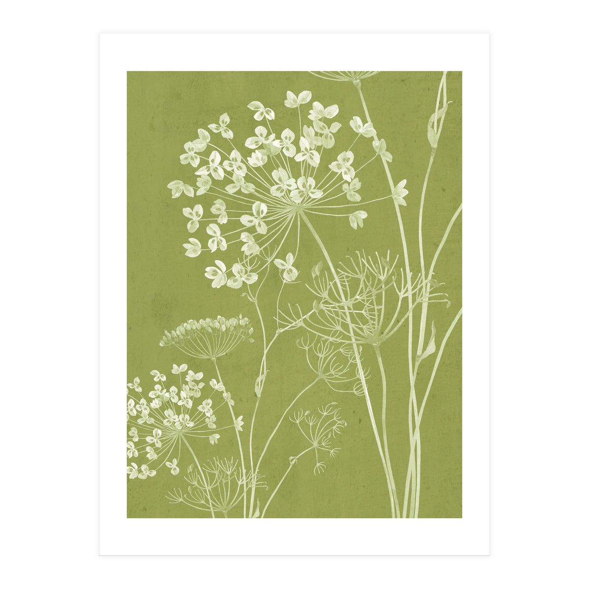 Wildflowers III (Print Only)
