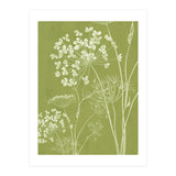 Wildflowers III (Print Only) thumbnail