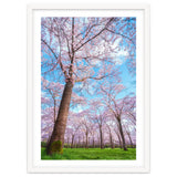 Spring in optima forma thumbnail
