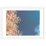 Leaves And Sky thumbnail