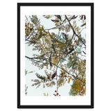 Patterns In Nature thumbnail