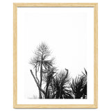 Miminalist Palm thumbnail