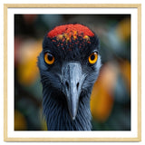Close Up Of A Strikingly Beautiful Bird Face thumbnail