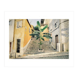 Lisbon Palm Tree (Print Only) thumbnail
