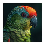 Close Up Colorful Parrot Bird Feather (Print Only) thumbnail