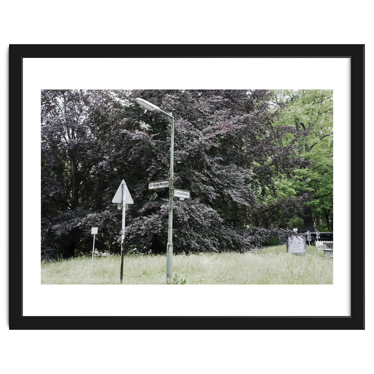 Signs at the corner of the street