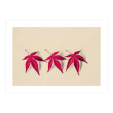 Dancing Leaves (Print Only) thumbnail