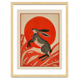 Hare And The Red Sun thumbnail