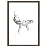 Whale thumbnail