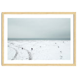 Seagulls in the winter snow beach thumbnail