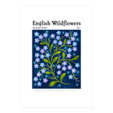 English Wildflowers | Forget-Me-Not (Print Only) thumbnail