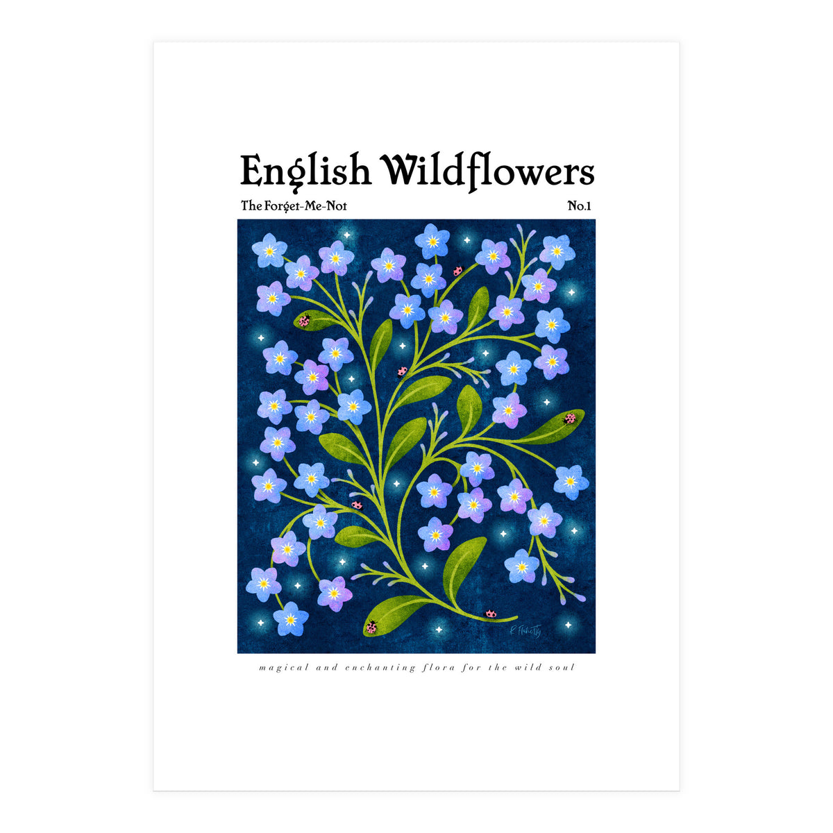 English Wildflowers | Forget-Me-Not (Print Only)