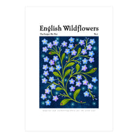English Wildflowers | Forget-Me-Not (Print Only)