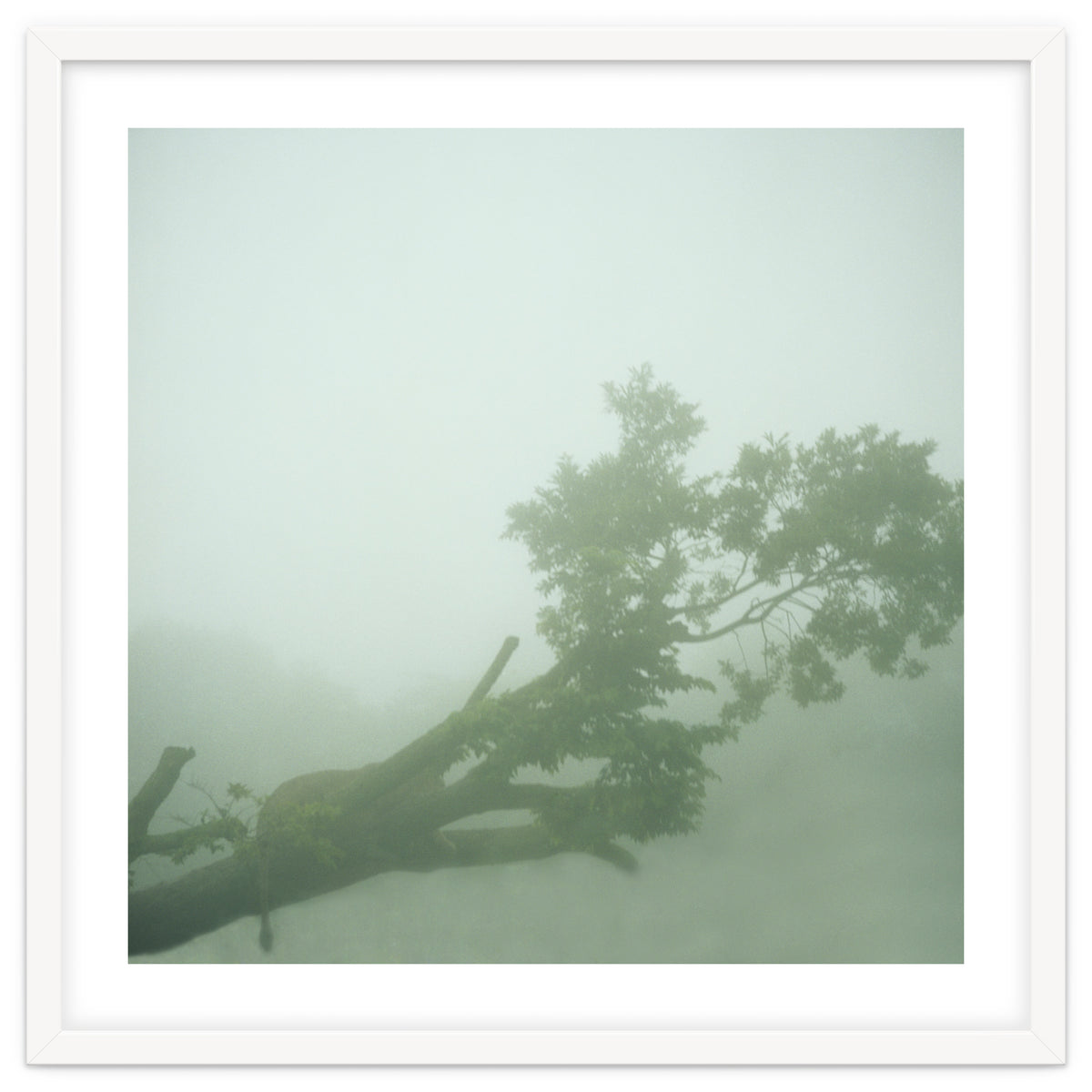 Silence of breath - 07