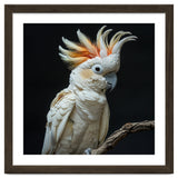 White Cockatoo Parrot Bird Perched On Branch thumbnail
