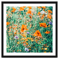 Eva | Nature Floral Meadow Garden | Photography Botanical Spring Bohemian Flowers