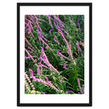 Lavender Flowers thumbnail