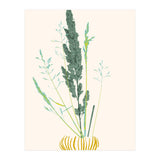 Plant based happyness Grasses 2 still life (Print Only) thumbnail