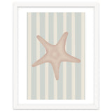 Starfish thumbnail