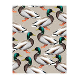 Mallards (Print Only) thumbnail