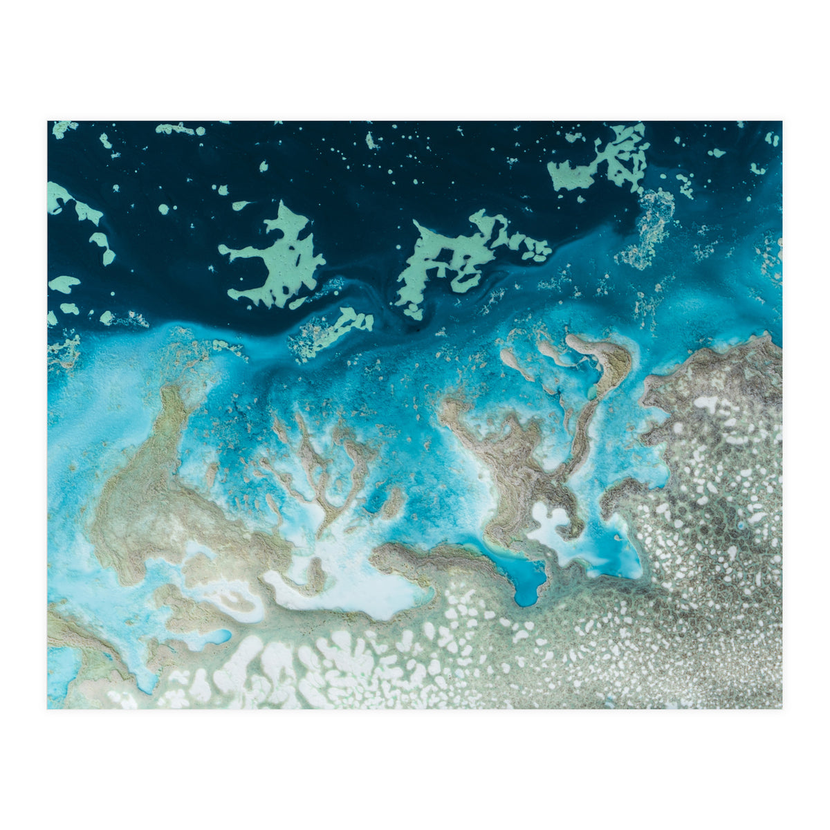 The Oasis (Print Only)