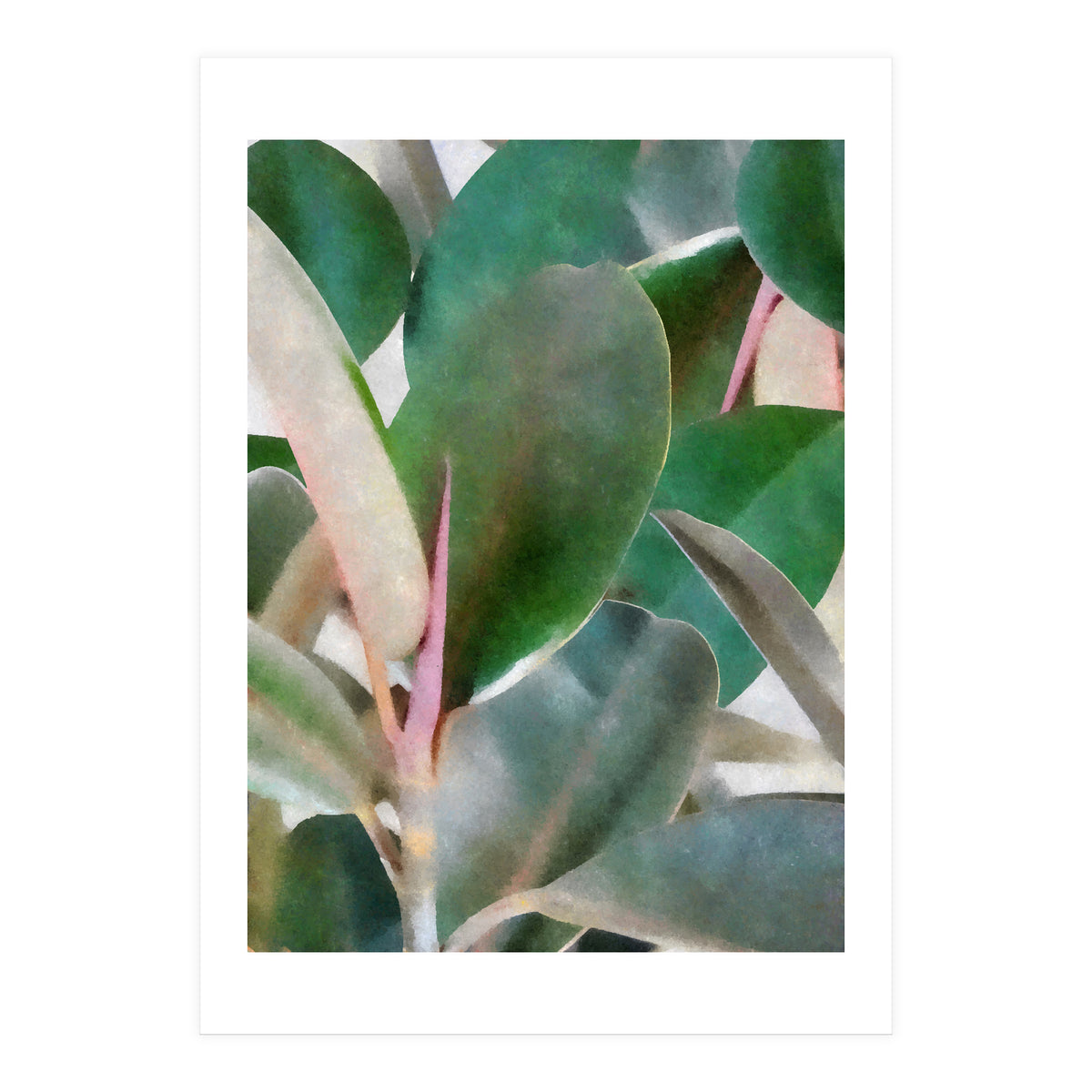 Preconceived Purity (Print Only)