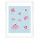 Jellyfish thumbnail