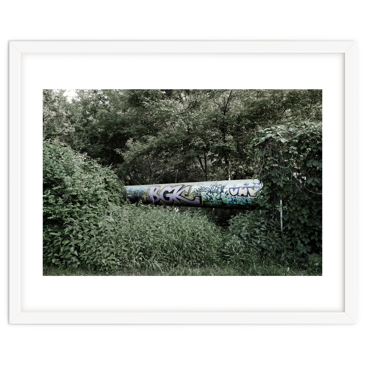 Graffiti pipe among the summer forest