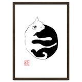 Ying yang Cat thumbnail