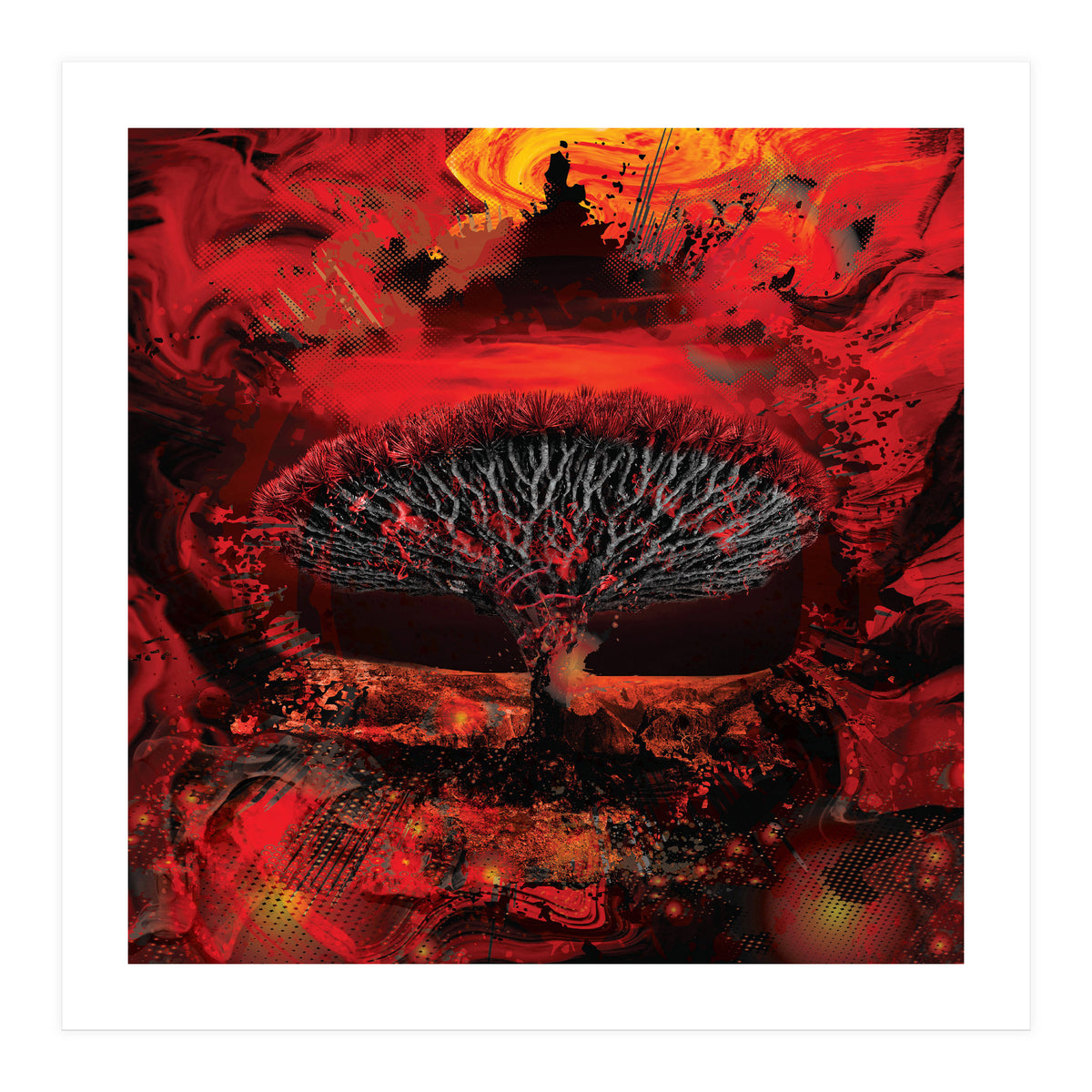 Socotra Dragon Blood tree (Print Only)