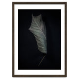 Leaves No 3 Color Version thumbnail
