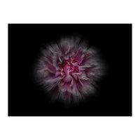 Backyard Flowers No 116 Color Flow Version (Print Only)