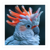 Cockatoo Bird With Orange Crest Portrait (Print Only) thumbnail