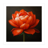 Double Lotus | Scarlet Solace (Print Only) thumbnail
