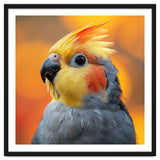 Cockatiel Parrot Close Up thumbnail